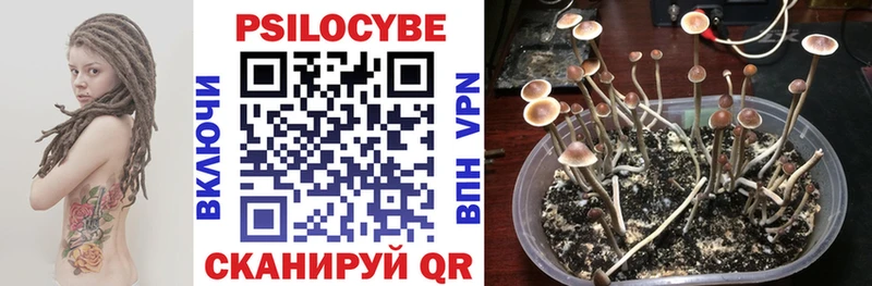 Псилоцибиновые грибы GOLDEN TEACHER  Сретенск 